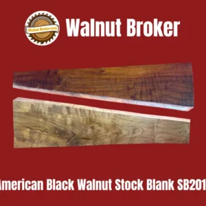 American Black Walnut Stock Blank SB201