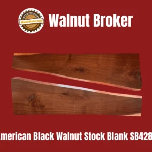 American Black Walnut Stock Blank SB428