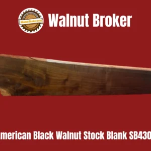 American Black Walnut Stock Blank SB430