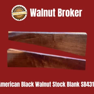 American Black Walnut Stock Blank SB431