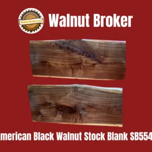 American Black Walnut Stock Blank SB554