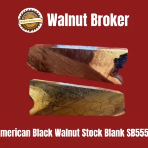 American Black Walnut Stock Blank SB555