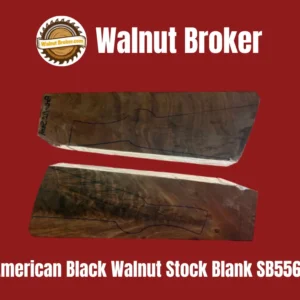 American Black Walnut Stock Blank SB556