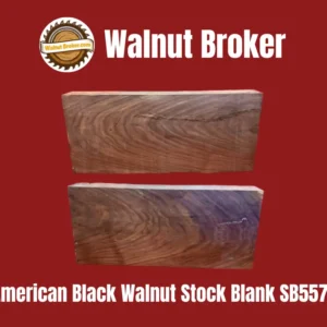 American Black Walnut Stock Blank SB557