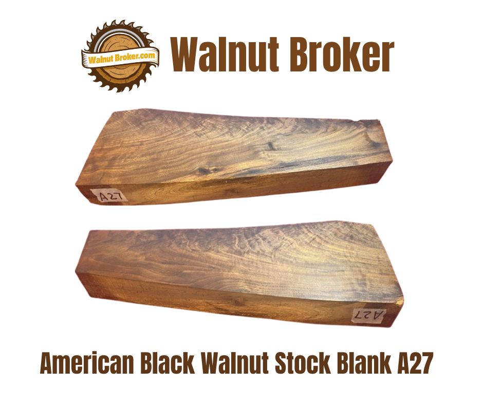 American Blank Walnut Stock Blank A27