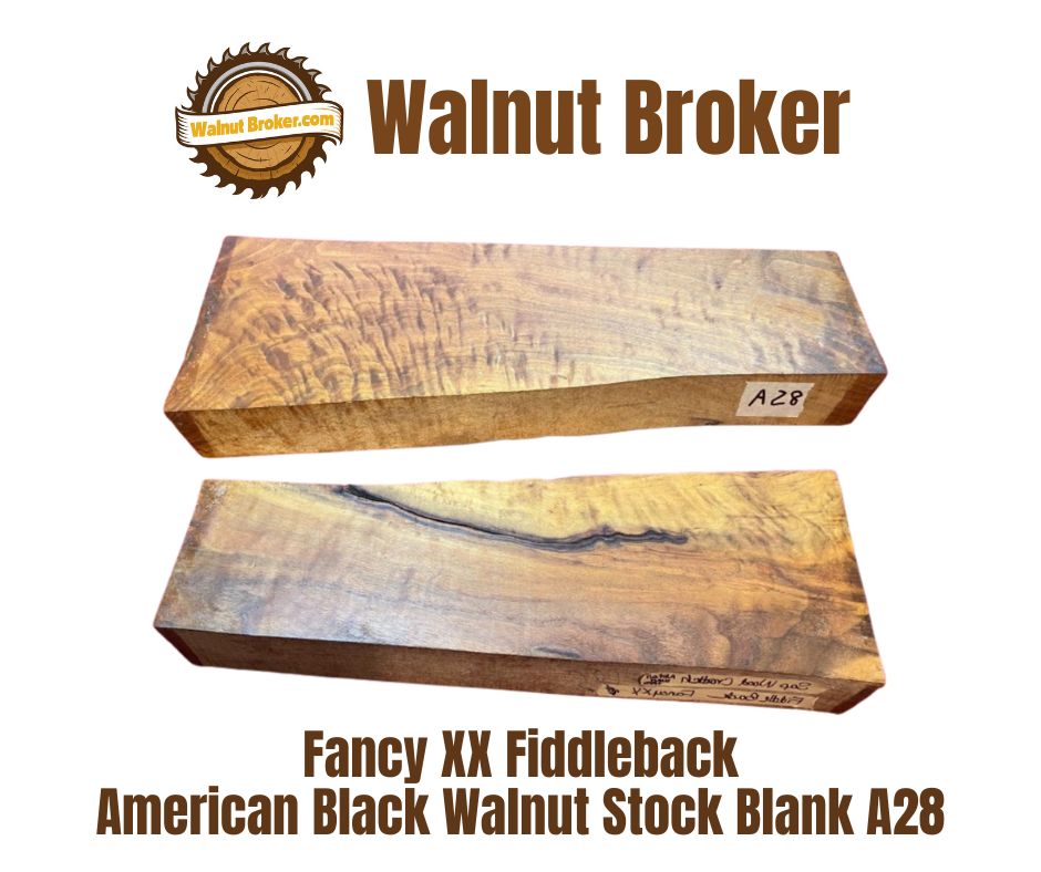 Fancy XX Fiddleback American Black Walnut Stock Blank A28